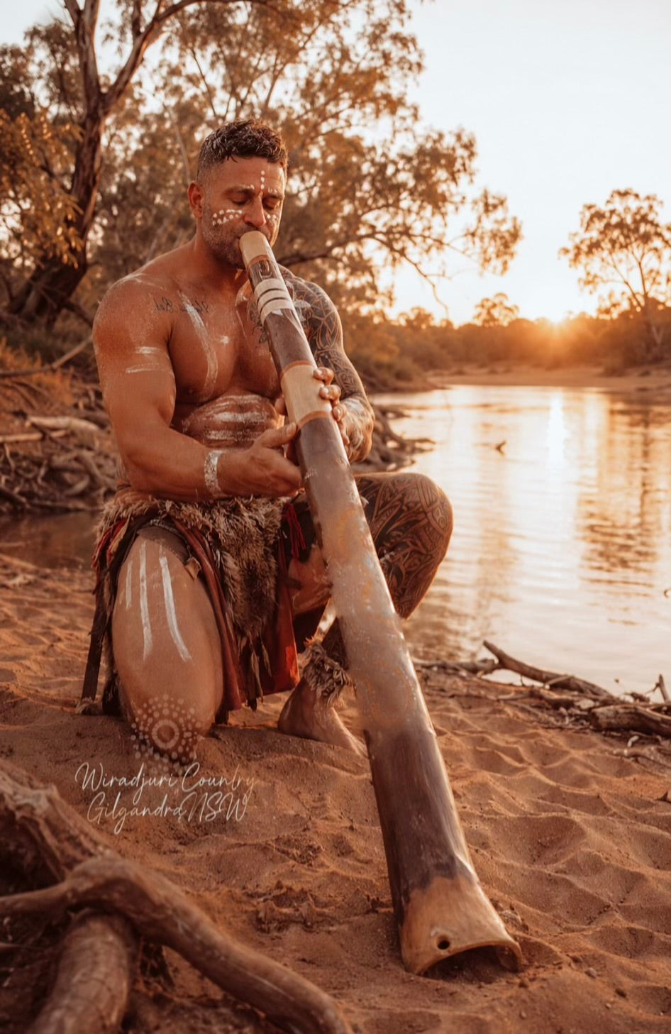 Box wood Didgeridoo